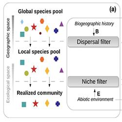 Biogeography Icon