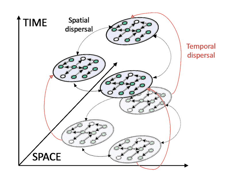 Frontiers  A metacommunity ecology approach to understanding